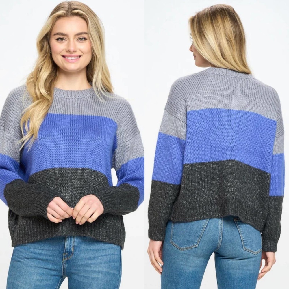 Urban Outfitter Lumiere Crewneck Color Block Sweater SZ Small and Large - Picture 14 of 14